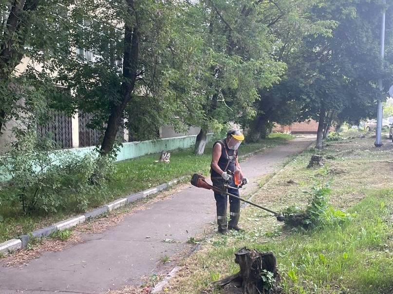 Траву в Электростали косили вручную, автоматически и с помощью бурьянокосилки