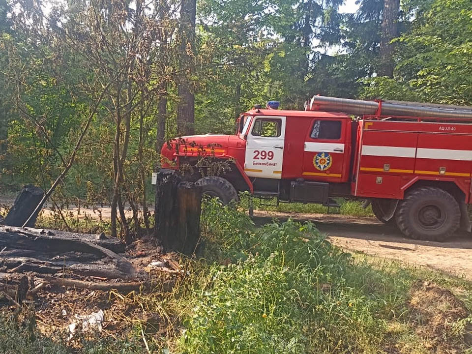 В  Лосино-Петровском ликвидировали лесной пожар