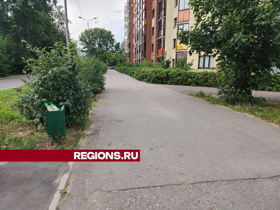 По просьбе жителей в Клязьминском проезде наведут порядок с уборкой мусора