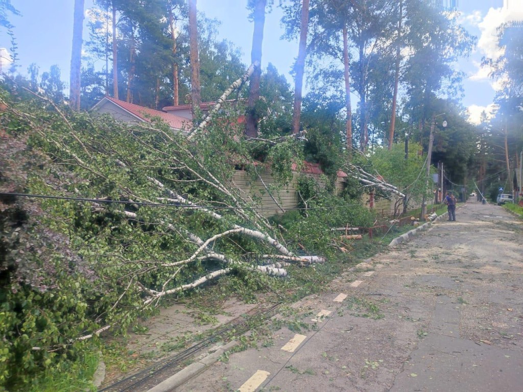 В Раменском было повреждено 60 опор линий электропередачи из-за урагана «Орхан»