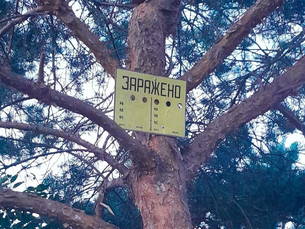 В Протвино появился знак с надписью «Заражено»