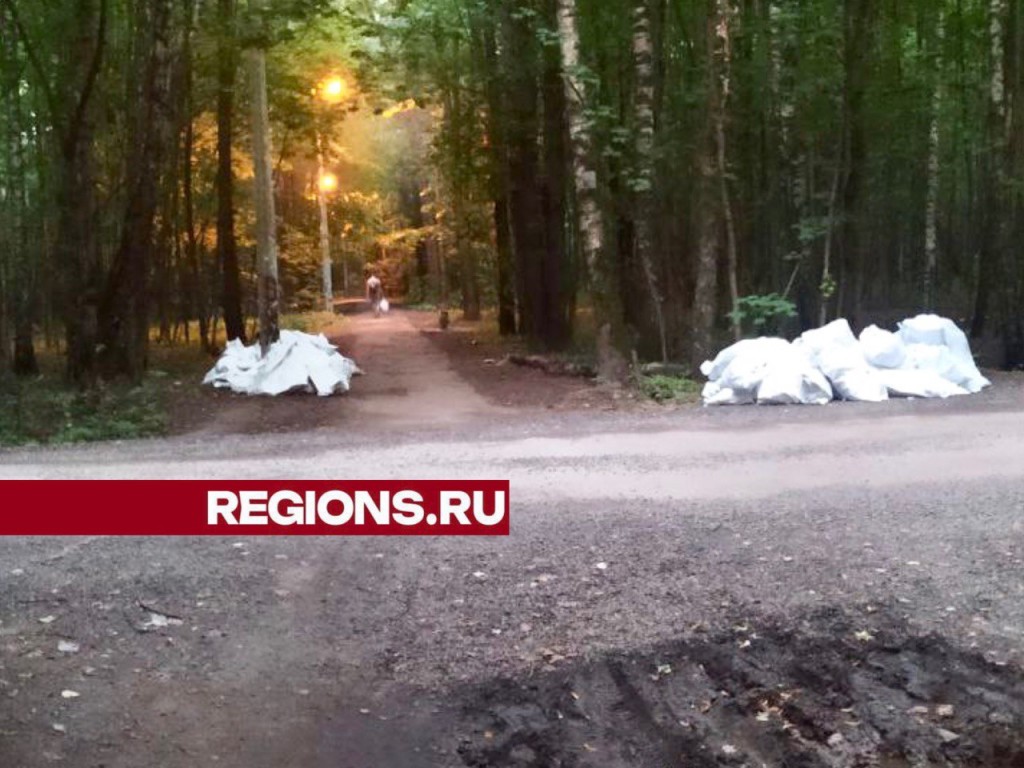 Мусорную свалку уберут в Балашихе