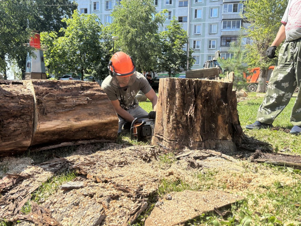 В Балашихе в микрорайоне Кучино спилили сухостои