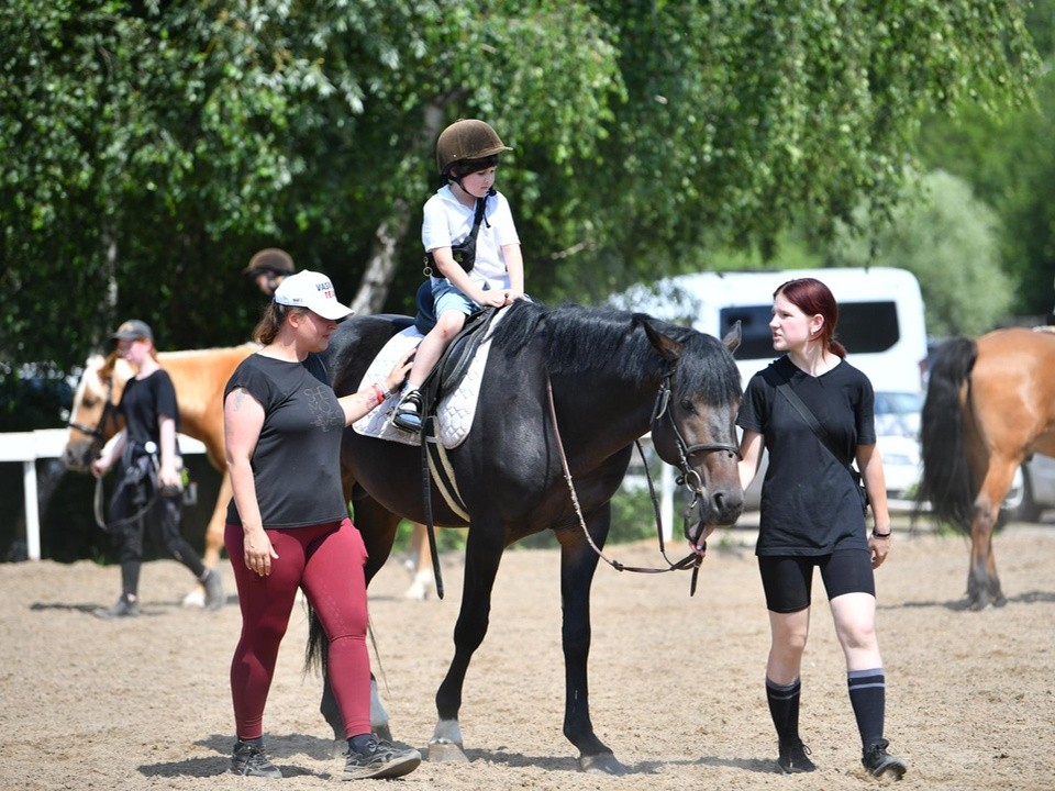 Конные прогулки и мастер-классы организовали для участников СВО и их семей