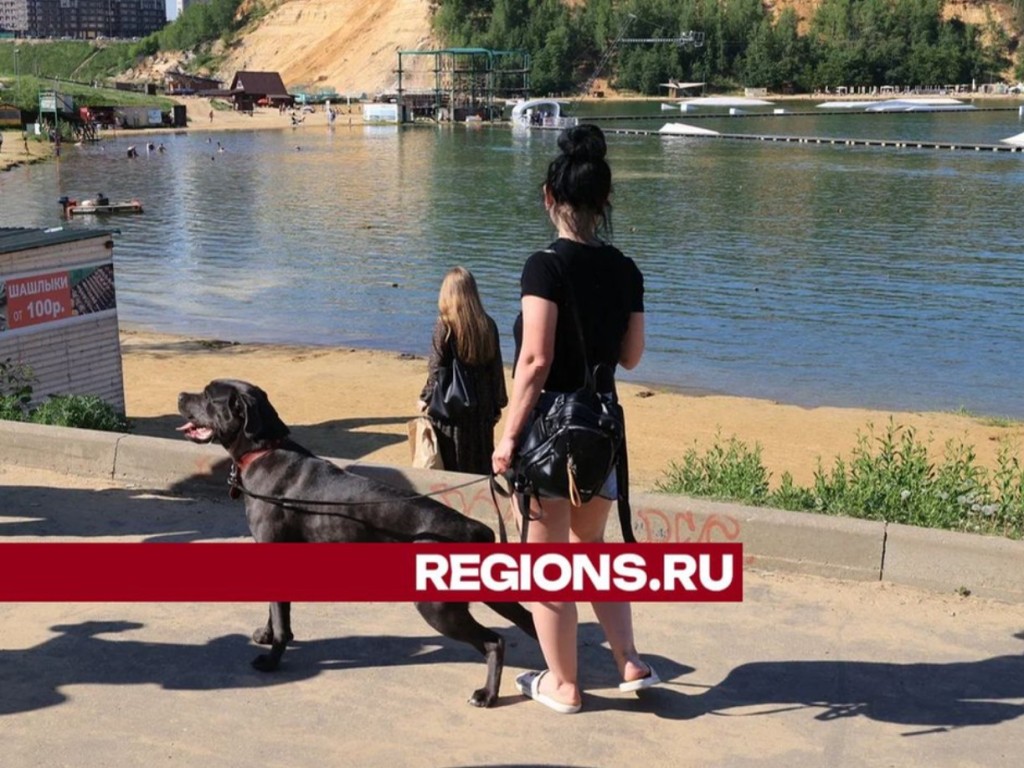 В соседнем Дзержинском в карьере утонул пятилетний ребенок | REGIONS.RU /  Котельники