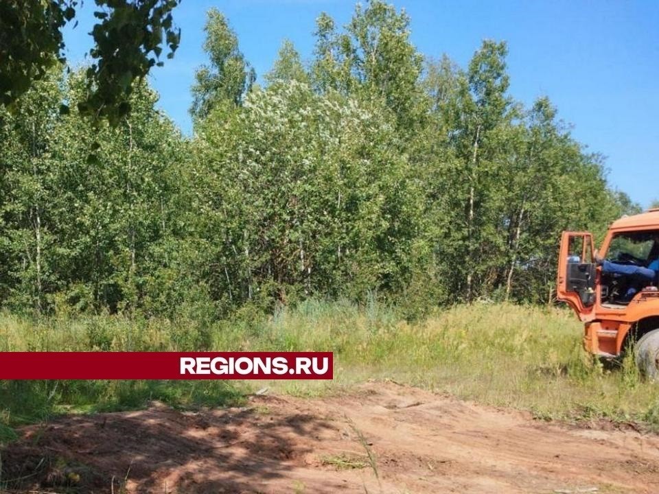 Лесную свалку обнаружили и ликвидировали в округе Луховицы