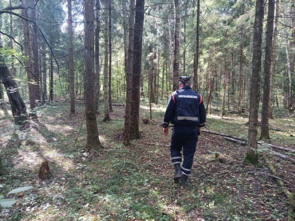 Работники ГКУ МО «Мособлпожспас» напомнили талдомчанам о правилах похода в  лес | REGIONS.RU / Талдом