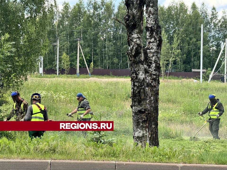 Газоны на Рижской и Шамонина приведут в порядок на этой неделе