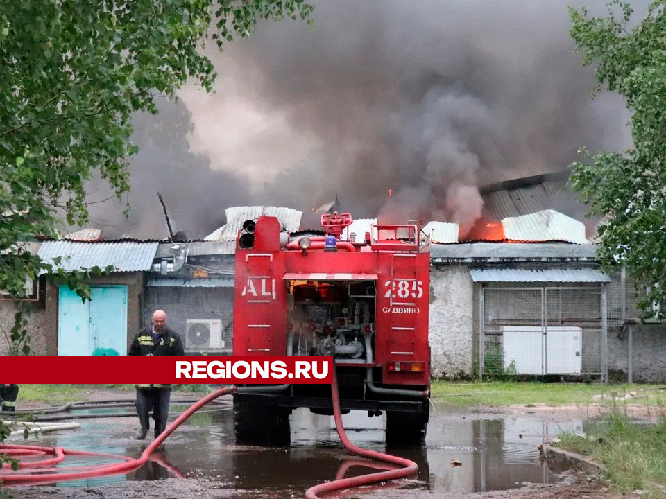 В результате пожара в егорьевской деревне Фильчаково пострадавших нет