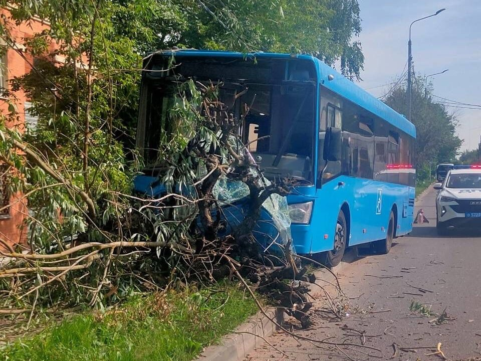 В Серпухове произошло столкновение автобуса с деревом