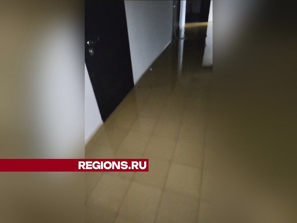 «Потолок обвалился, воды нет, офис в фекалиях»: в Лыткарине бизнесмены оказались в ловушке из-за собственника помещений