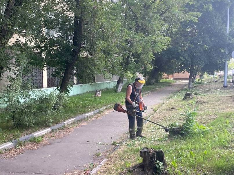 На территории Электростали уничтожили почти 50 гектаров борщевика
