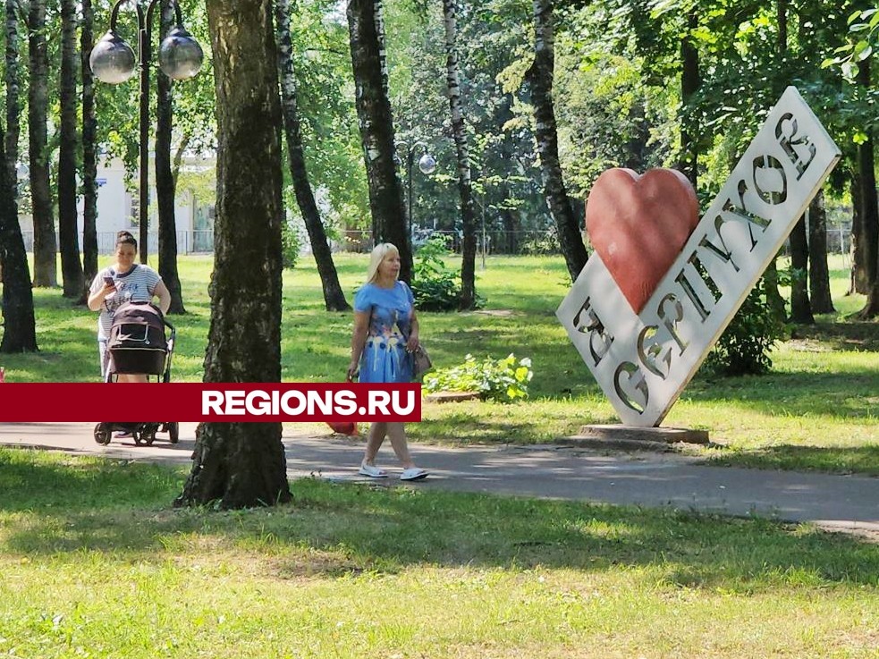 В Комсомольском парке Серпухова обустроят сразу две зоны для занятий спортом