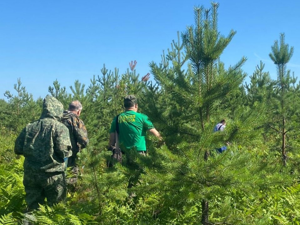 Ореховозуевские леса продолжают восстанавливать после сильнейших торфяных пожаров