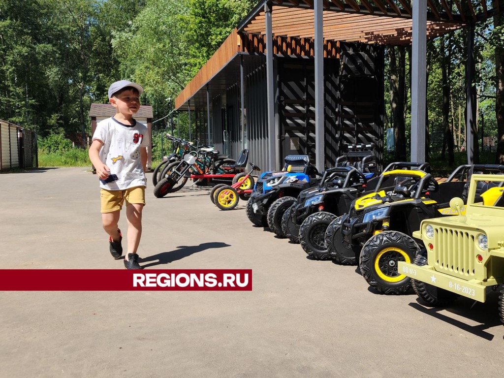 В Ступинском парке появились новые развлечения