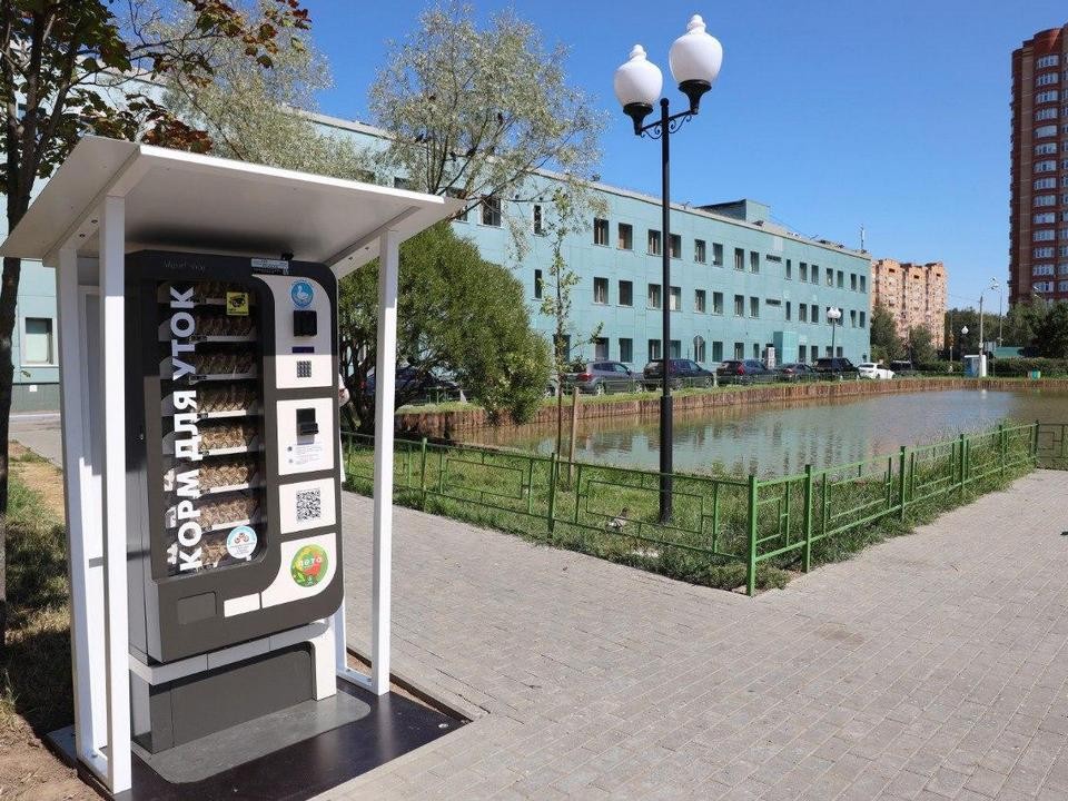 Хлеб вредит уткам: автомат с кормом для птиц установили на Алексеевском пруду