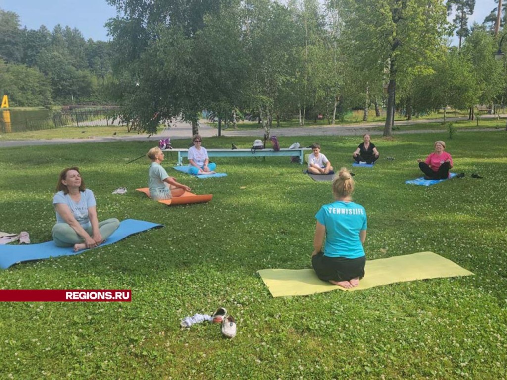 Занятия йогой для активных долголетов проводят в шатурском парке |  REGIONS.RU / Шатура