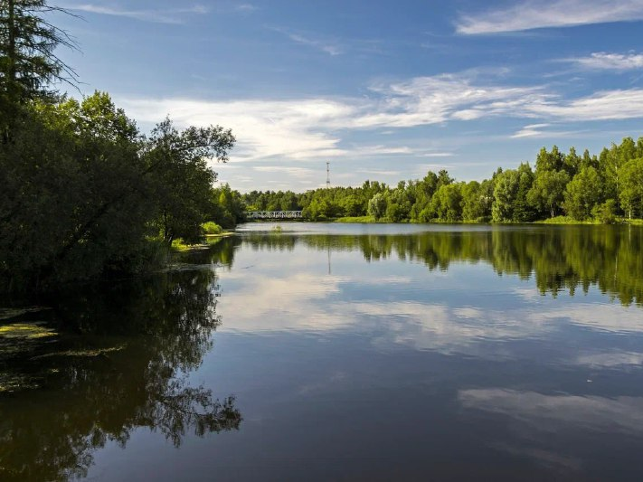 Акция по расчистке берегов «Вода России» пройдет в Красногорске