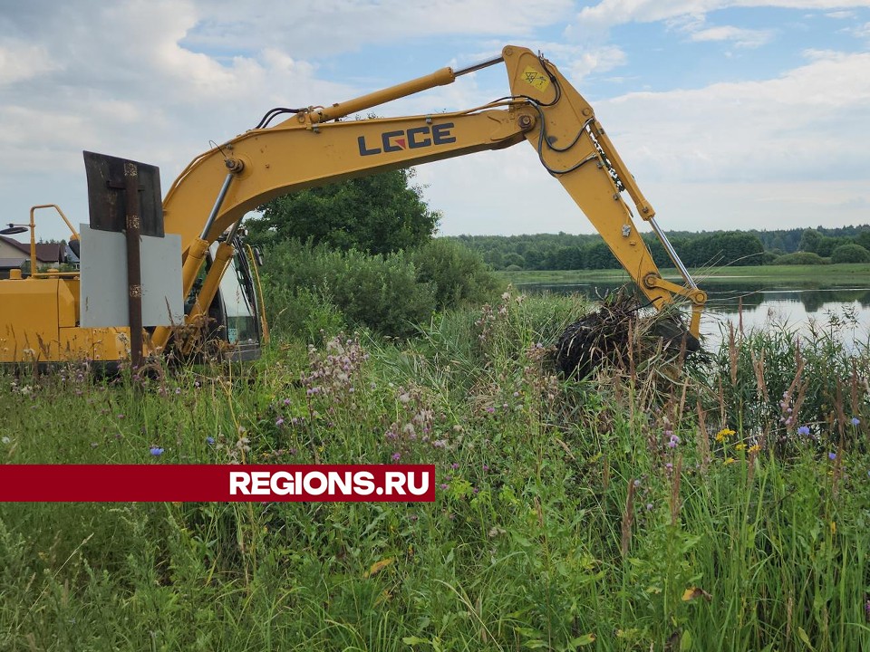 В деревне Калугино с помощью техники идет очистка местного пруда