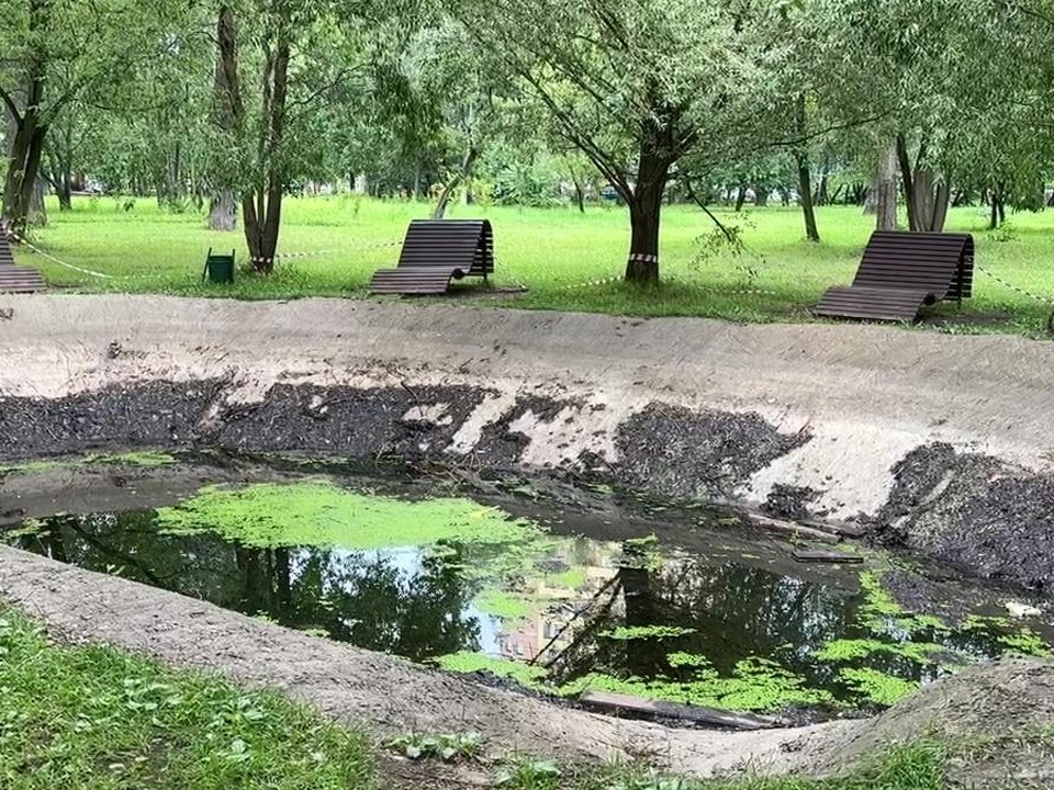 «Уборка сохранит экосистему прудов»: в Центральном парке Реутова специалисты чистят водоемы