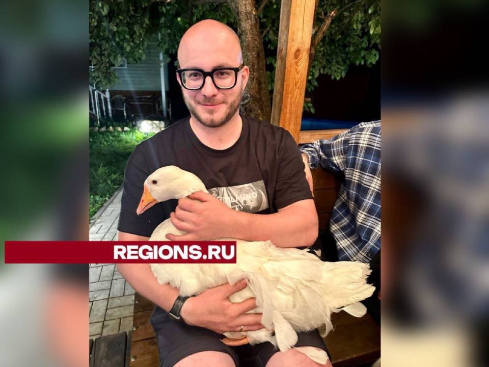 В Ногинске найден сбежавший от хозяина гусь Мартин