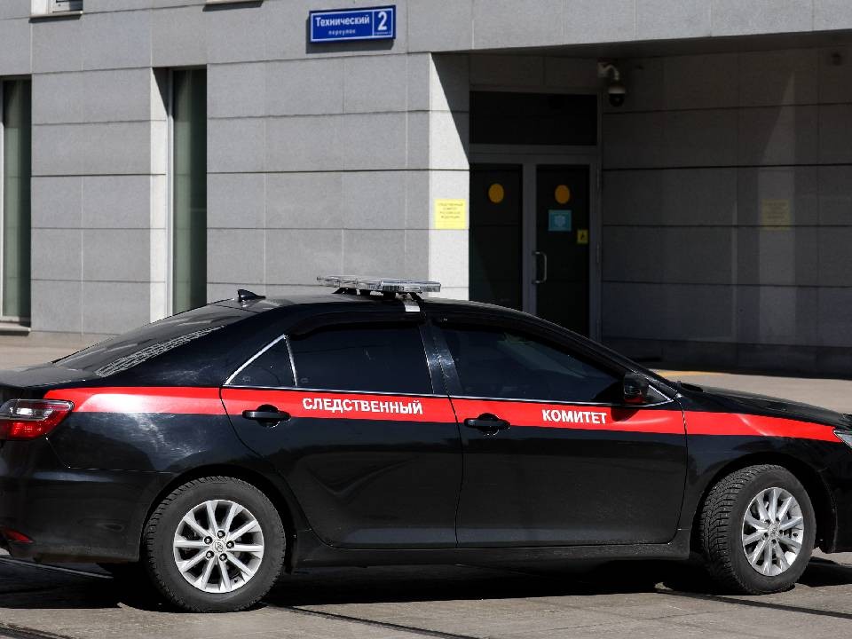 СК намерен просить об аресте сына миллиардера Бажаева за драку с полицейскими