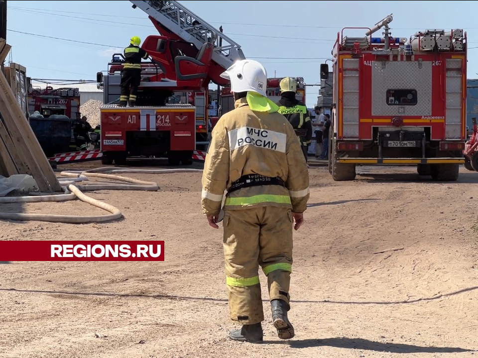 При пожаре в цеху по производству керамических плит в Химках спасатели вытащили из огня котят