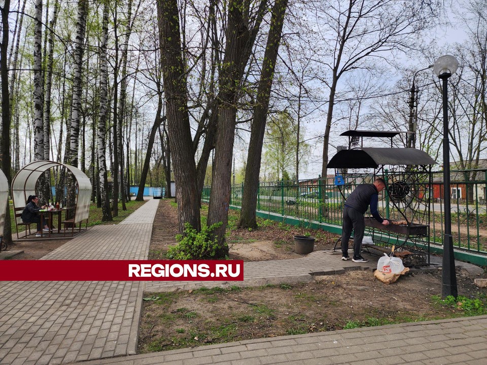 Безопасно и легально пожарить шашлык жители Пушкино могут в парке «Березовая роща»