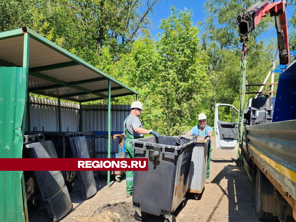 Контейнерную площадку в селе Дубна под Чеховом могут перенести