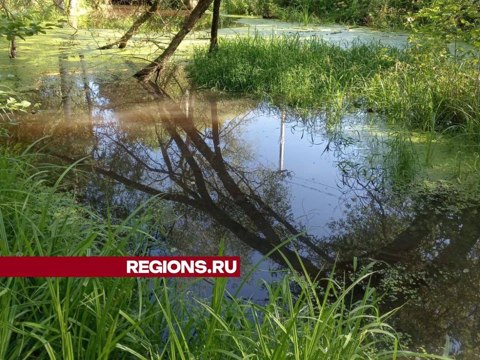 В Ликино-Дулеве несанкционированных сбросов в реку Лютиху не выявлено