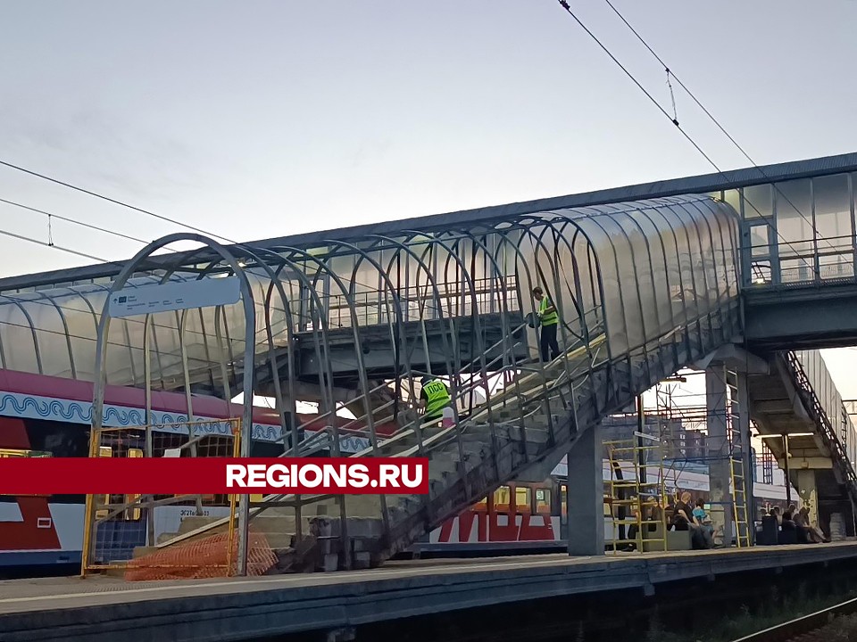 На пешеходном мосту в Лобне красят металлоконструкции