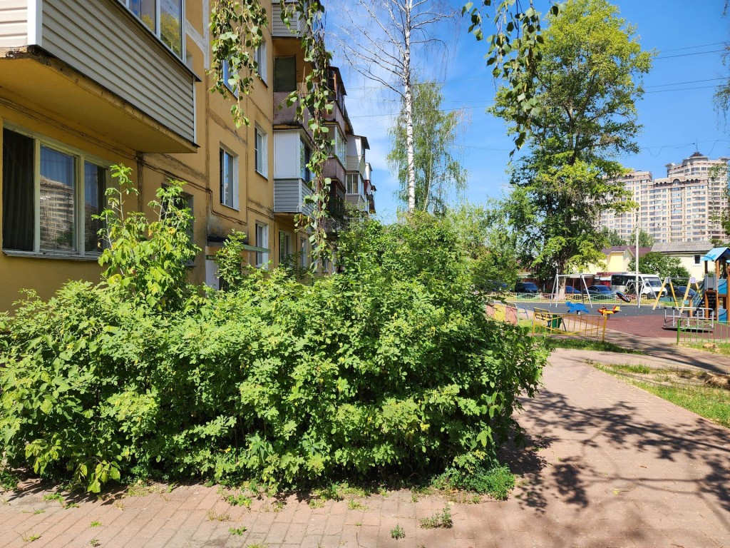 В доме №11/4 на улице Новостройки в Раменском рабочие привели в порядок  подъезды | Раменское