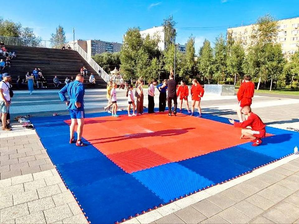 Тренировки по самбо будут проводить для всех желающих в парке по субботам