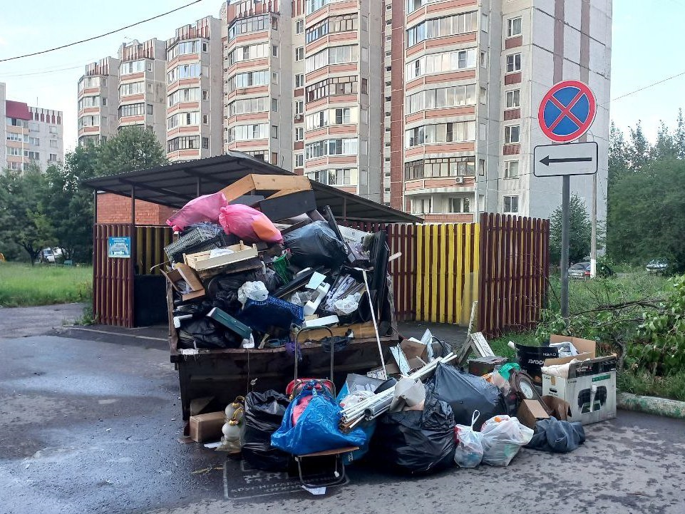 С территории Электростали вывезли почти 500 кубометров несанкционированных свалок