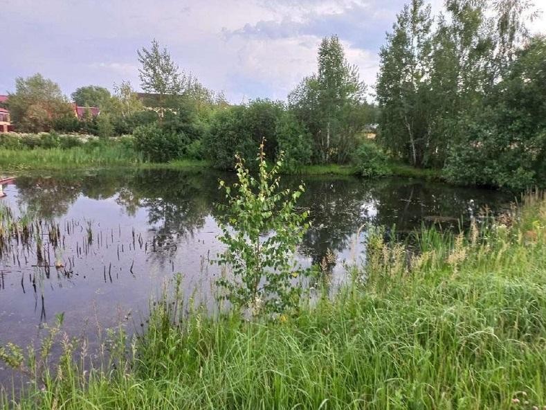 В Подмосковье пройдет фотоконкурс на тему природы и климата