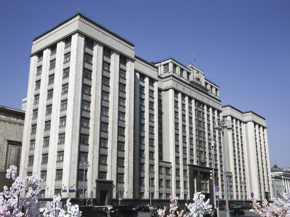 Депутат Останина предложила сделать 8 июля выходным днем