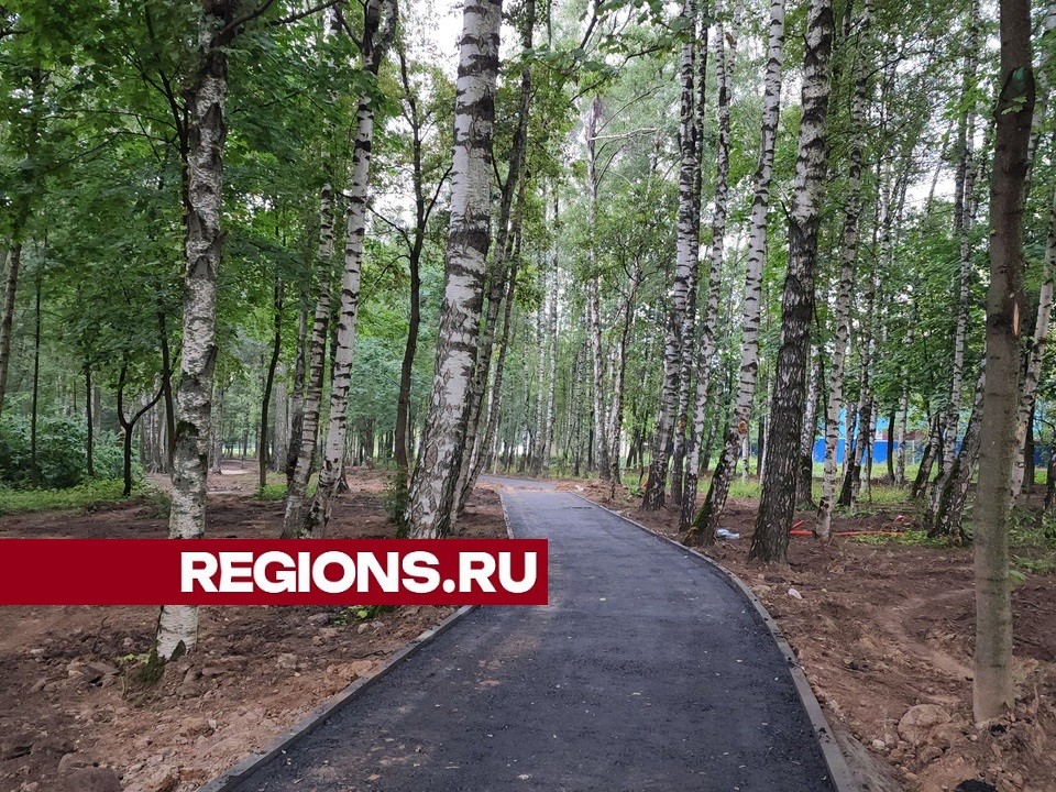 Новые пешеходные тропинки и велодорожки обустраивают в Центральном парке Лобни