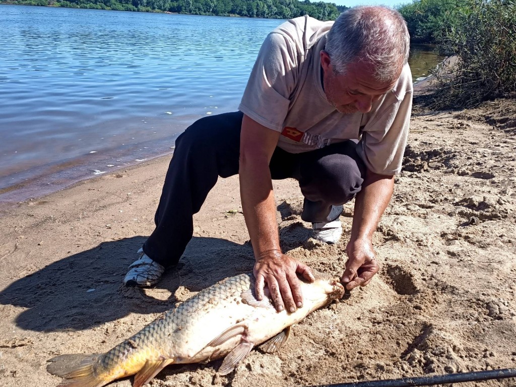 На Оке под Серпуховом поймали пятикилограммового сазана