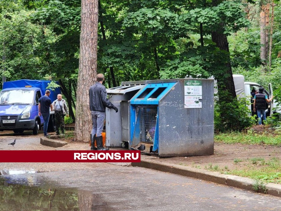 В Протвине коммунальщики ежедневно вручную производят уборку мусора на контейнерных площадках