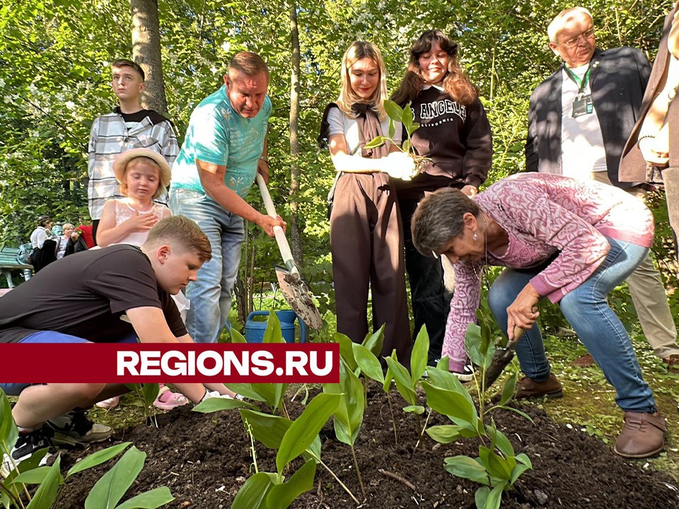 Дети Донбасса высадили в Клину любимые цветы П.И. Чайковского