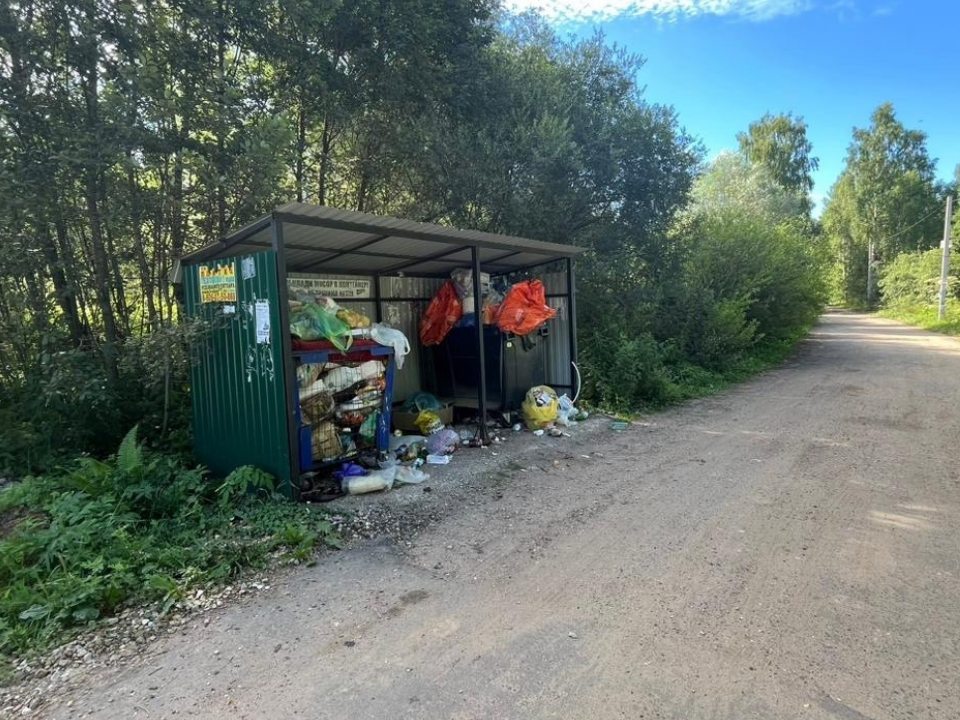 В деревне под Рузой мусор будут вывозить чаще