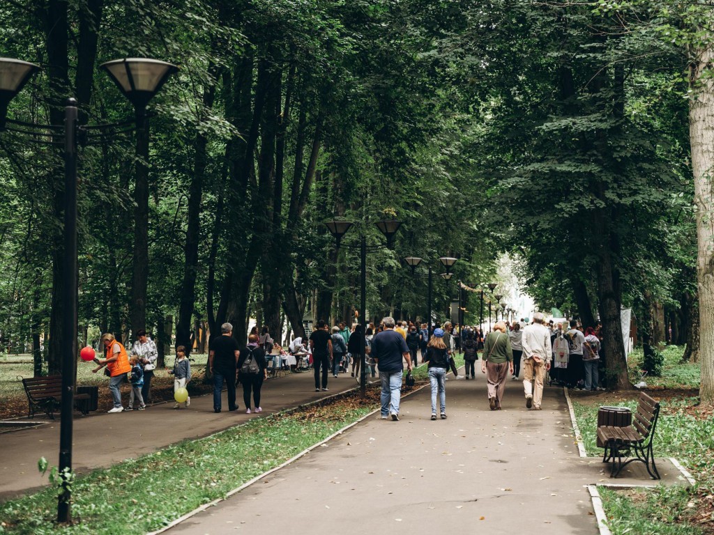 Концепцию благоустройства Центрального парка Щелкова обсудят с жителями |  REGIONS.RU / Щелково