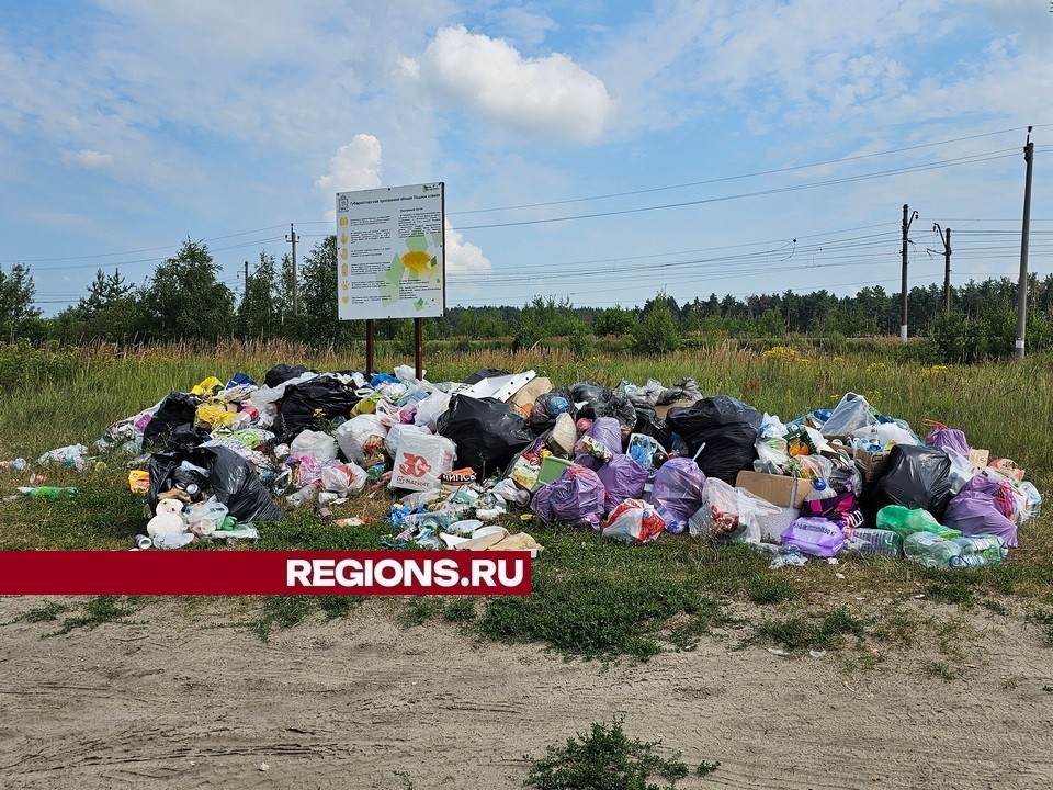 Седьмое Голубое озеро в Луховицах утопает в мусоре