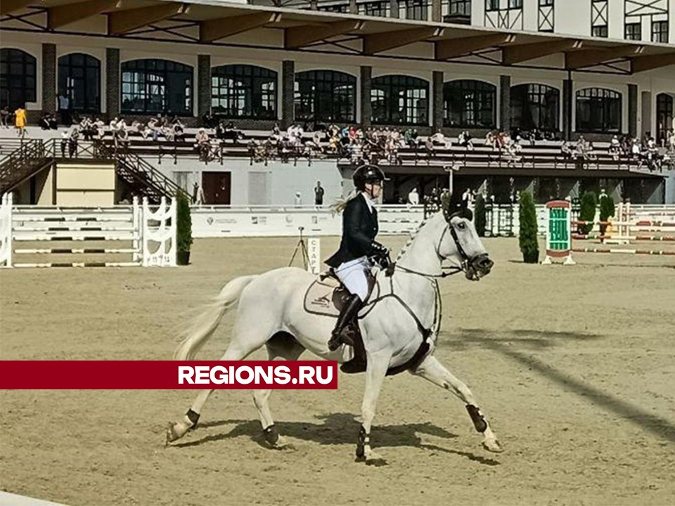 Российский спортсмен на бельгийском скакуне Президент выиграл соревнования в Дмитрове