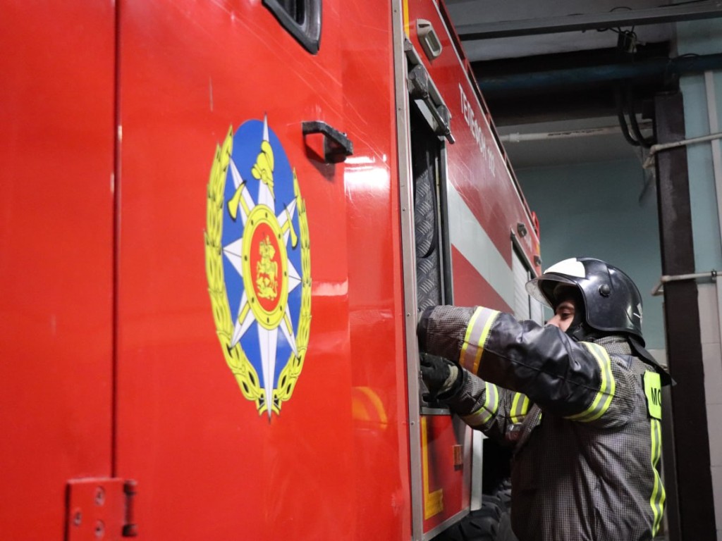 Спасатели помогли пенсионерке и ее питомцу попасть в закрытую квартиру в  Рошале | REGIONS.RU / Шатура