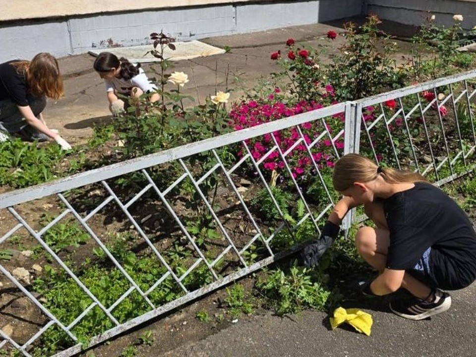 Долгопрудненские ученики даже на каникулах ухаживают за клумбами в любимой школе