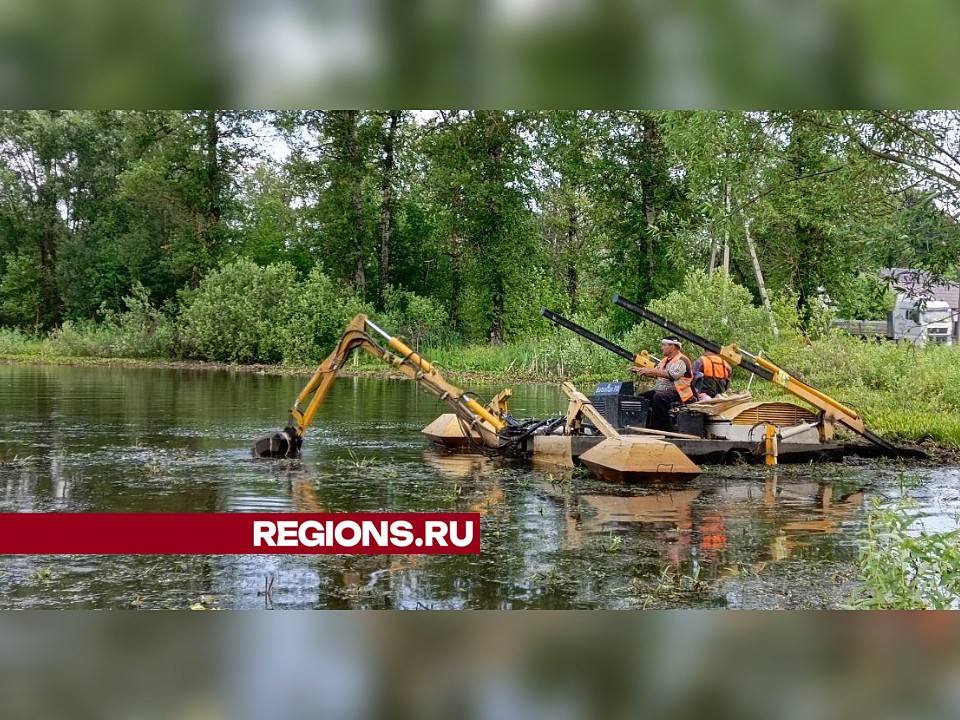 Завершается очистка пруда в Деденево