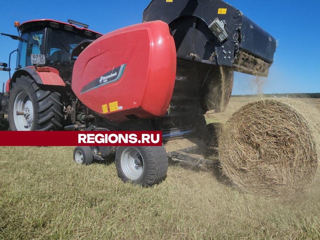 В агрокомплексе «Туровский» соберут урожай сена за несколько дней |  REGIONS.RU / Серпухов