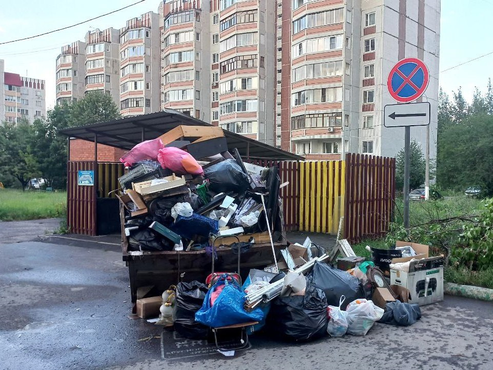 В Электростали ликвидированы несколько несанкционированных свалок мусора