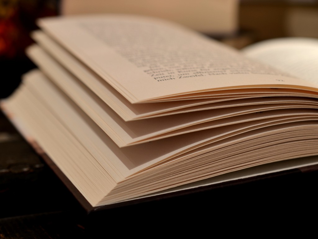 «Наши» обиделись за книгу Суркова